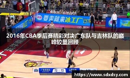 zoty中欧