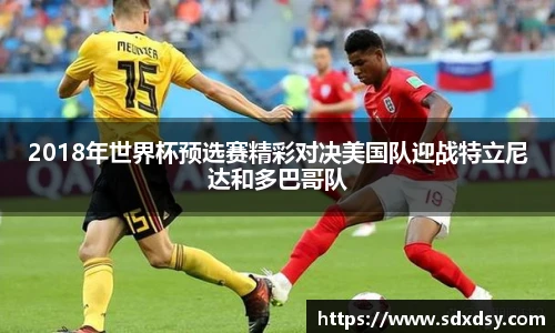 zoty中欧