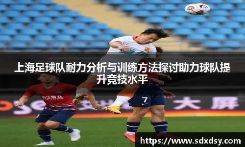 zoty中欧上海足球队耐力分析与训练方法探讨助力球队提升竞技水平