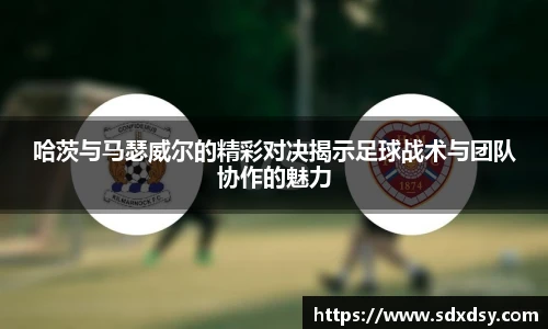zoty中欧