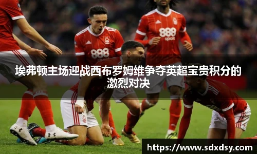 埃弗顿主场迎战西布罗姆维争夺英超宝贵积分的激烈对决