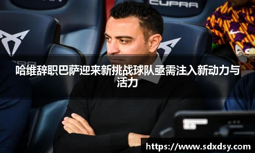 熊猫足球直播平台